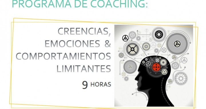 curso